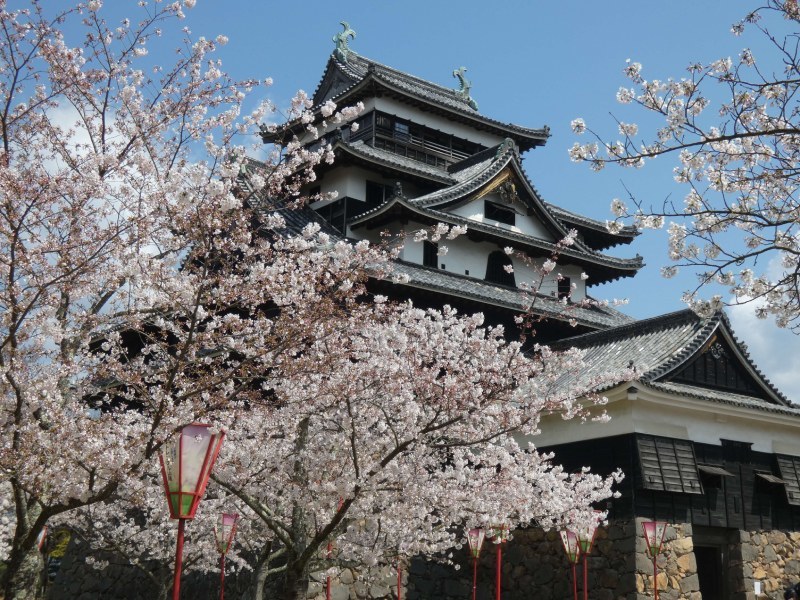 国宝松江城 お城まつり