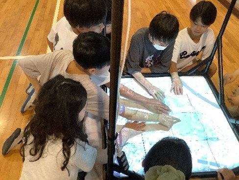 お城部　小机小学校