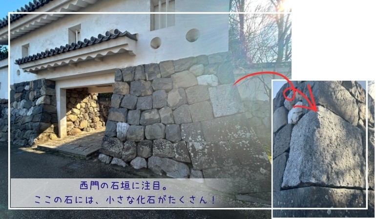 関ヶ原の戦い、大垣城