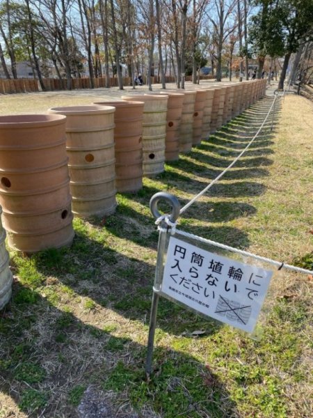 高槻城,曽根,ジーン