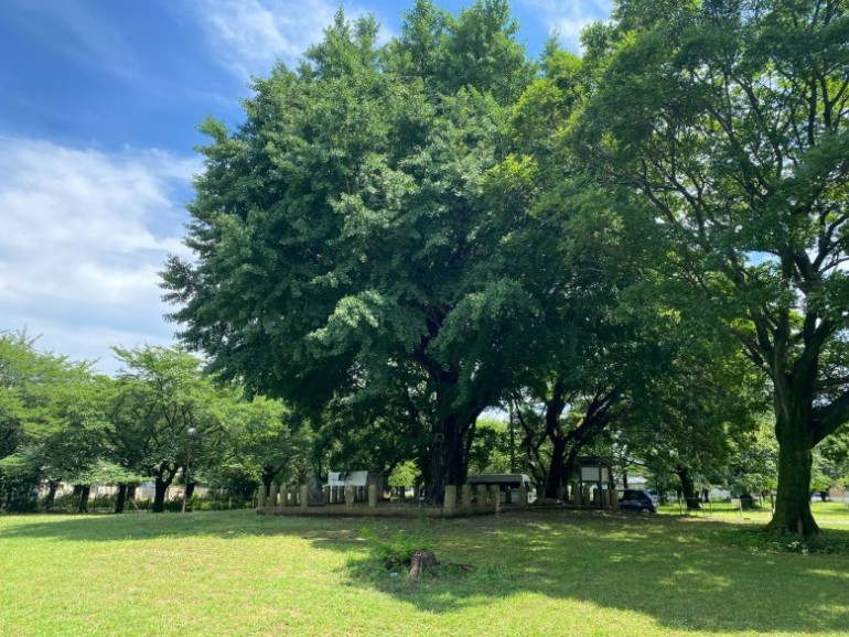 武蔵国分寺復元体験アプリ『むかしへGO! 武蔵国分寺』