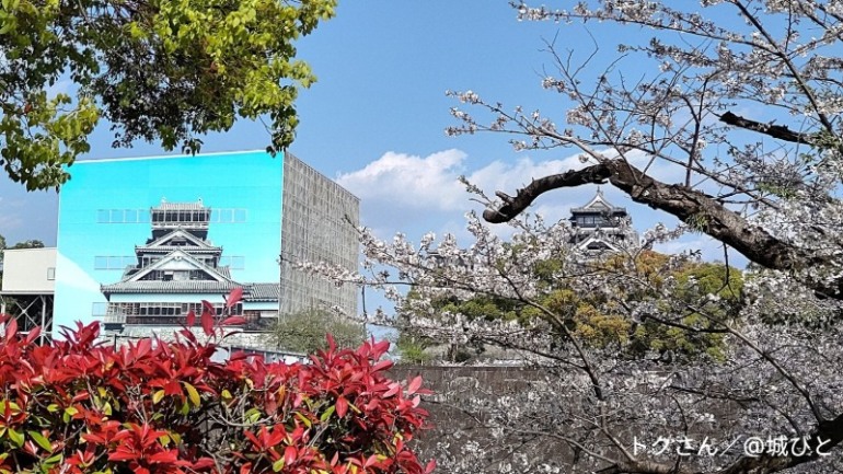 特別版お城EXPOin熊本