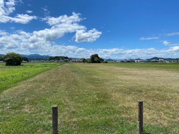 XR藤原宮