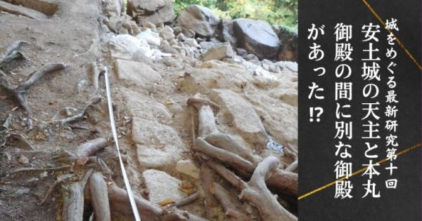 小和田哲男,最新研究