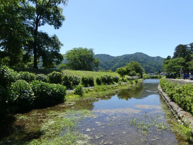 全国隠れ名城の城