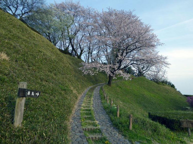 全国隠れ名城の城