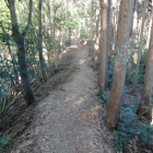 城址に続く土橋