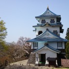 名残の桜と稲庭城