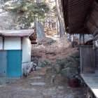 神社の左脇から登ろう