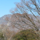 虚空蔵山（響きがかわいい🐘♪）