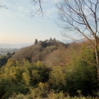 鈴岡城遠景