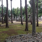 井伊家墓域(豪徳寺)