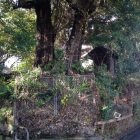 湯殿神社