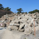 掘り出された石も大量。
