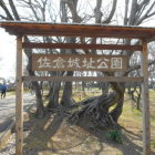 広〜い公園で