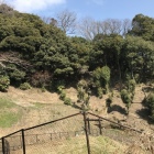 城址はこの山の中。攻めるの禁止。