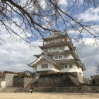 桜の頃はきっときれい。