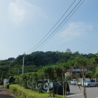 館山城遠景