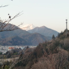 川棚見張台から富士山