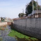 近くを流れる石神井川