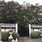 雨の日のお寺もしっとりしていいですね。