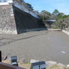 自転車やゴミ箱が出てきたそうです。