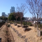 星野町公園