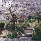 殿山公園