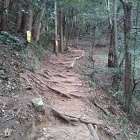 武田山憩いの森からの登城口