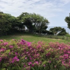 主郭