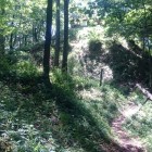 本郭は切岸で見事に成形されています。