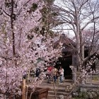 本丸の藤原神社