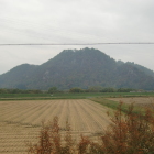 向羽黒山城遠景