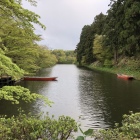 水堀。水面が近い。