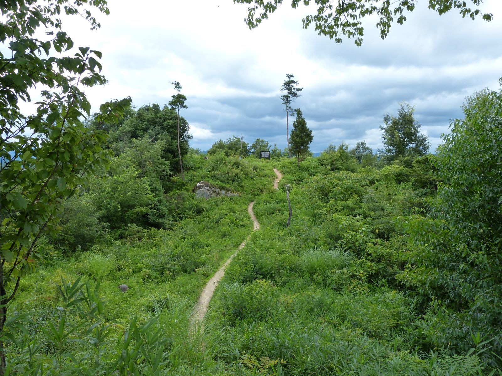 [幸山城] 城びと