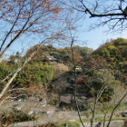 陣屋跡から柳生城