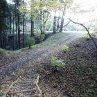 二の郭土橋