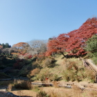 御殿山公園