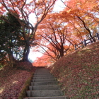 二の郭下の帯郭虎口