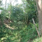 生実神社の空堀