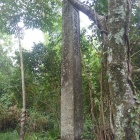 虎城山の碑