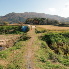 四の丸土橋