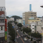 小山駅の新幹線ホームから見た小山城跡。正面から右の森にかけてが城址。