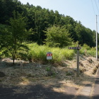 道路沿いの登城口