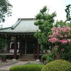 善性寺、百日紅がきれい