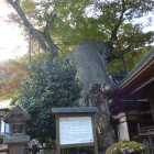 現在の登城口・根古屋神社