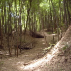 大手道横の土塁と堀