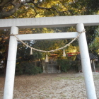 守綱神社の鳥居