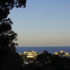 慰霊塔辺りから見た小田原城と月