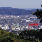 展望台から見る小田原城